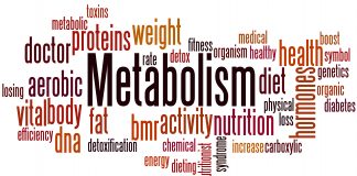 3 Myths About Your Metabolism You Should Stop Believing