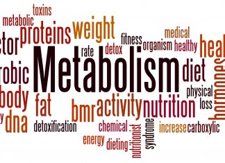 3 Myths About Your Metabolism You Should Stop Believing