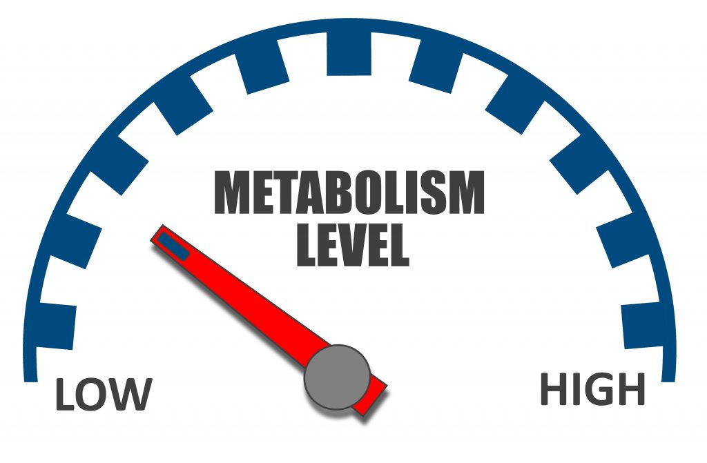 Slow metabolism