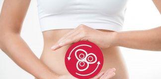 Digestive Enzymes: The Catalyst That Optimizes Your Metabolism Digestive Enzymes